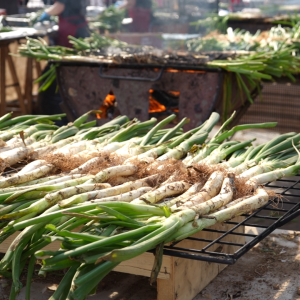 Calçotada al Mercat de Pagès de Germanetes (Dissabte)